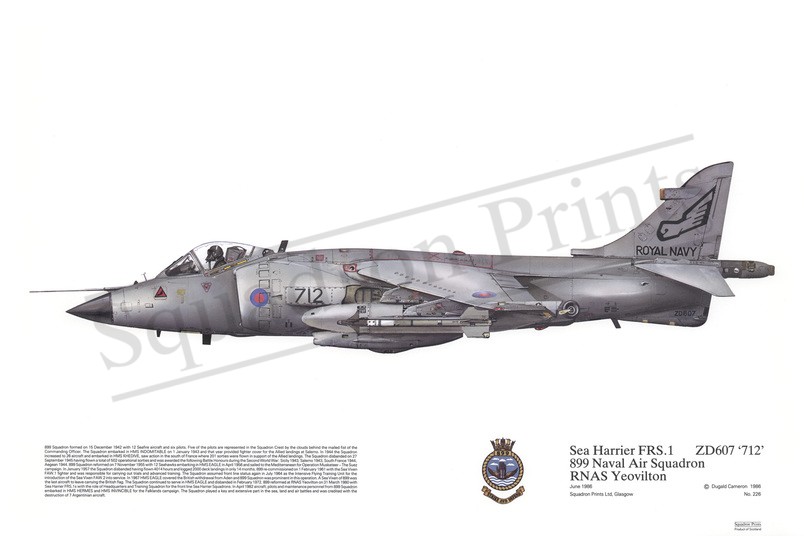 Sea Harrier FRS1