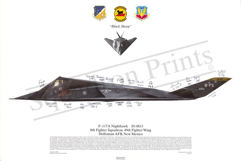 F-117A Nighthawk Signed Print