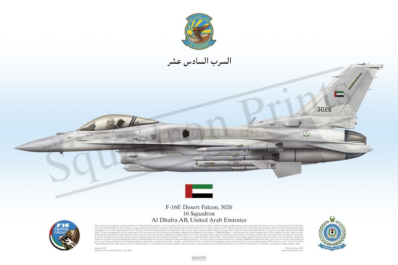 F-16E Desert Falcon