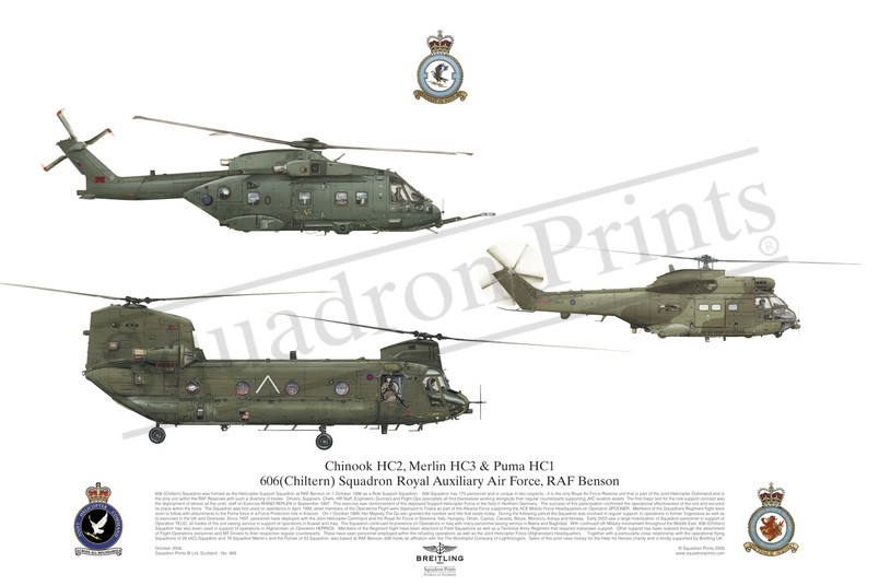 Chinook HC2, Merlin HC3 &amp; Puma HC1