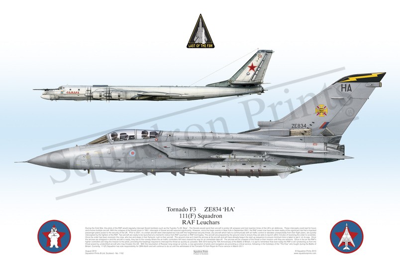Tornado F3 and Tu-95MS