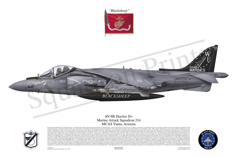 AV-8B Harrier II+ - Print | Squadron Prints