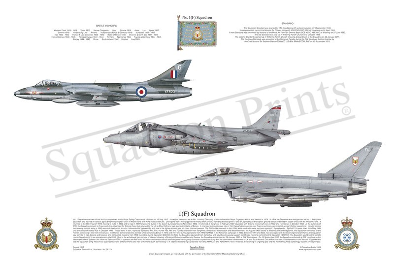 1(F) Squadron Triple Print Hunter Harrier Typhoon