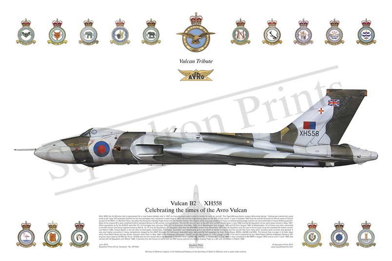 B2.2698 RAF AVRO VULCAN V BOMBER Royale Car Grill Badge Fittings 