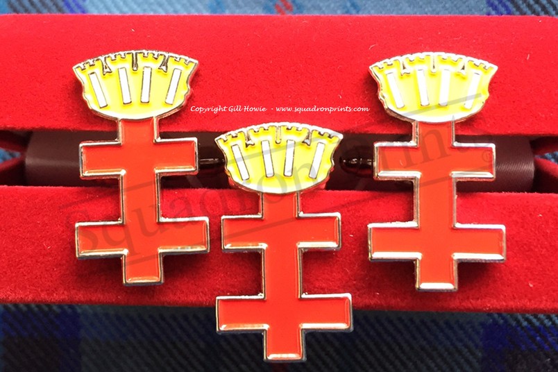 41(R) Squadron Cufflinks & Pin Badge