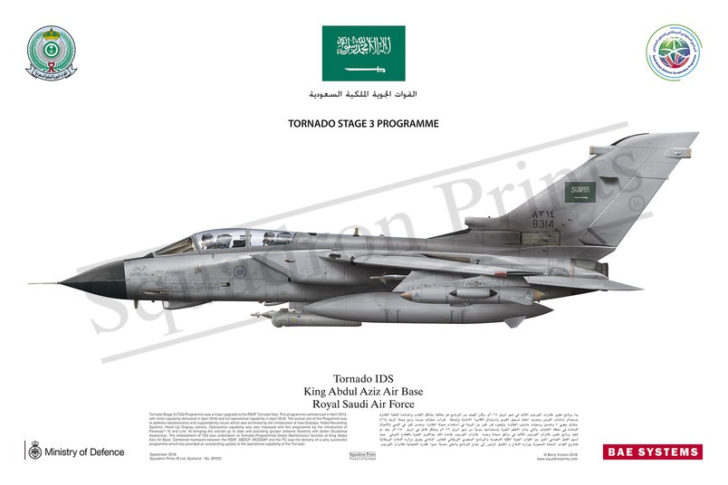 Tornado IDS Tornado IDS