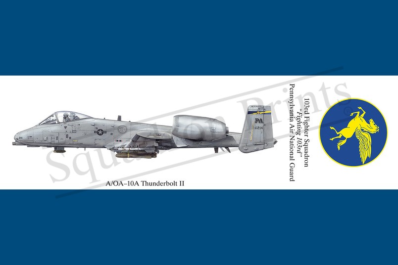 A/OA-10A Thunderbolt II