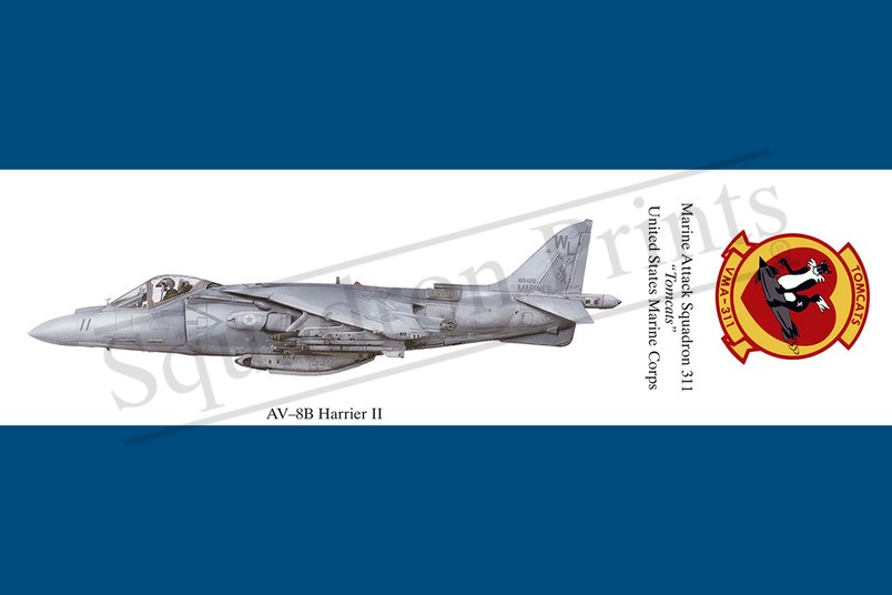 AV-8B Harrier II