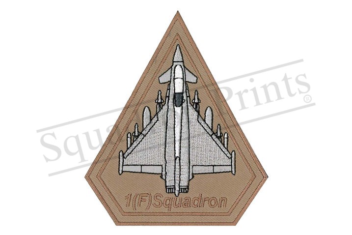 1(F) Squadron Typhoon Desert Spearhead Paveway