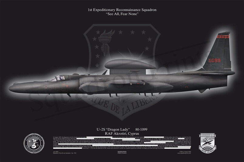 1st ERS, U-2S Dragon Lady special print