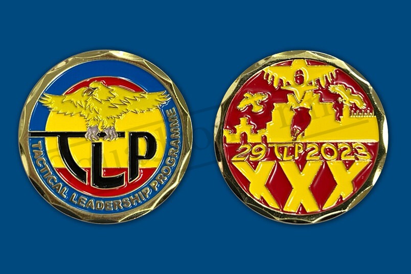 29 Squadron TLP Challenge Coin