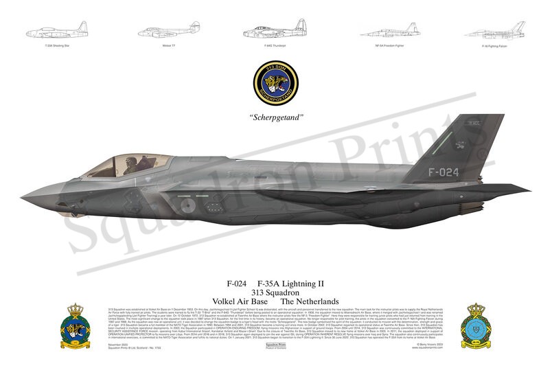 313 Sqn F-35A Lightning II print