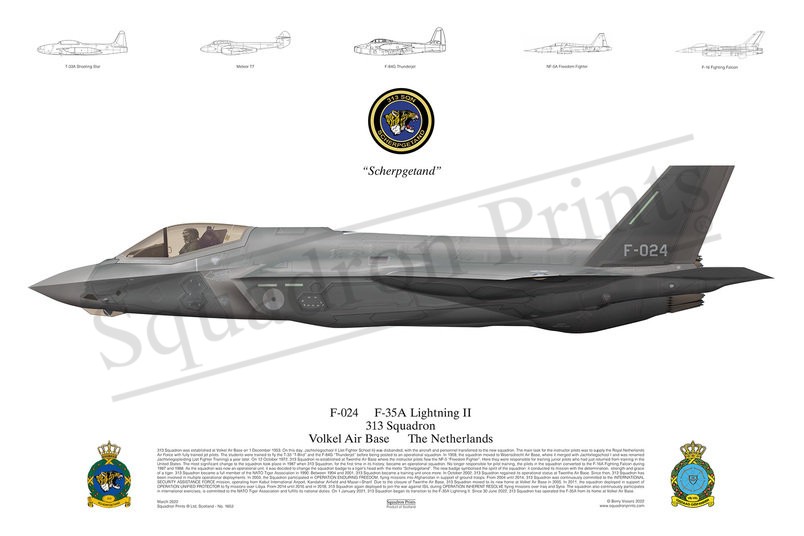 313 Squadron F-35A Lighting II print