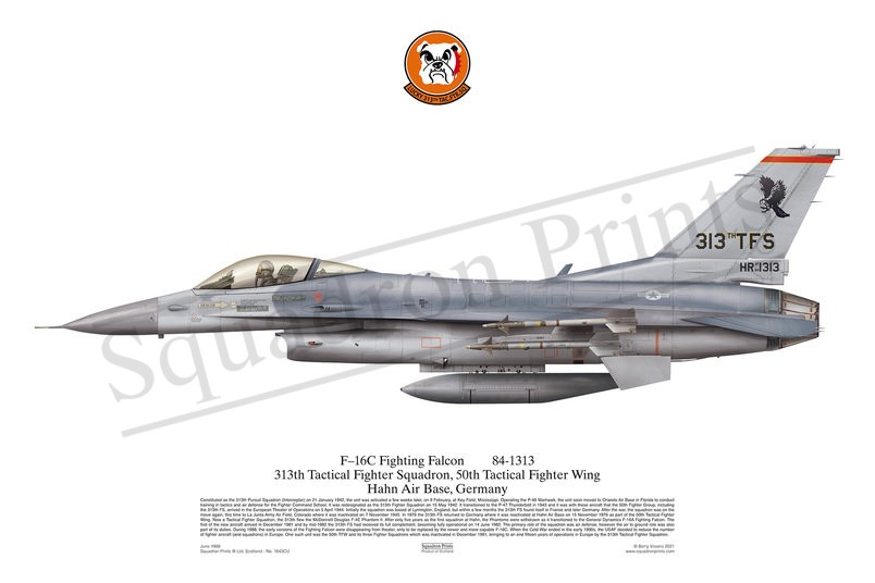 313 TFS F-16C Fighting Falcon Squadron Print