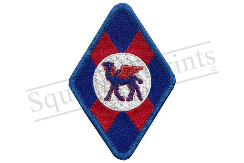 45 Squadron Badge