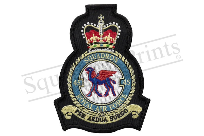 SALE 45 Squadron crest