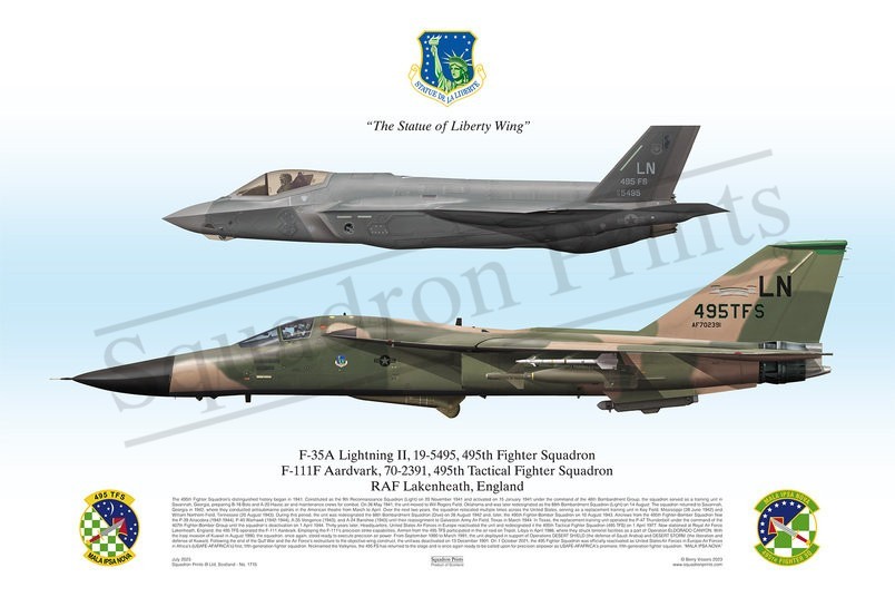 495th F-111F and F-35A print