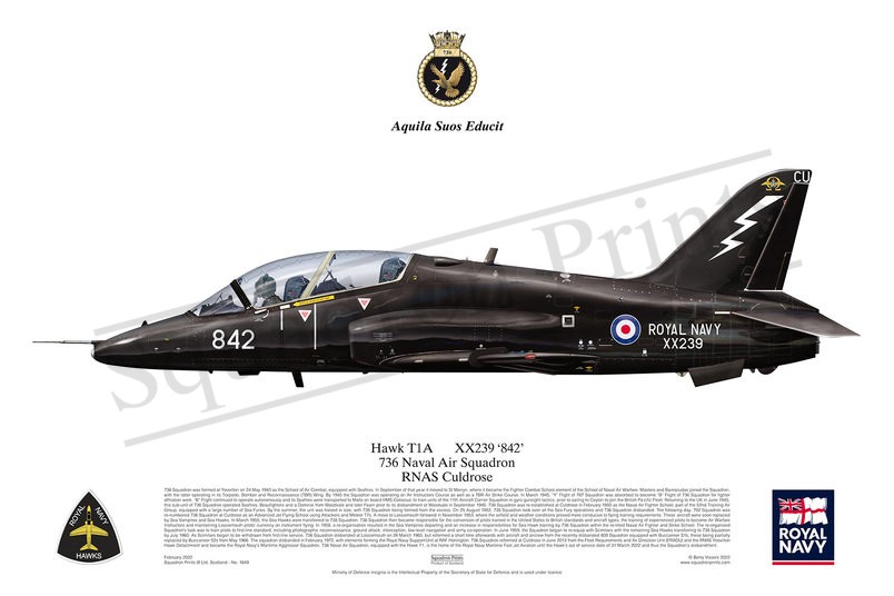 736 NAS Hawk T1 print