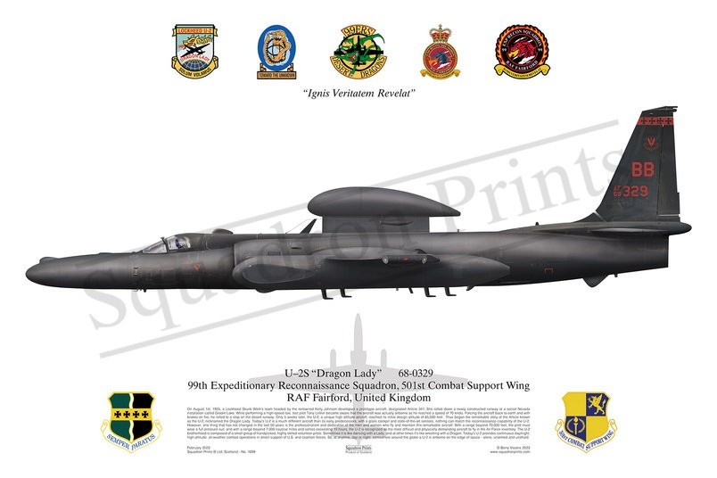 99 ERS U-2S Dragon Lady print