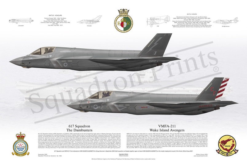 CSG 2021 F-35B Lightning Print