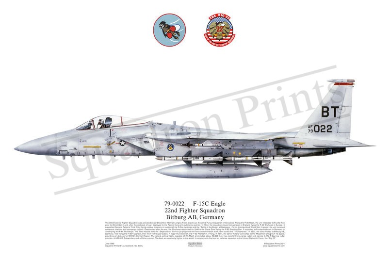 F-15C Eagle, 22 FS Squadron Print