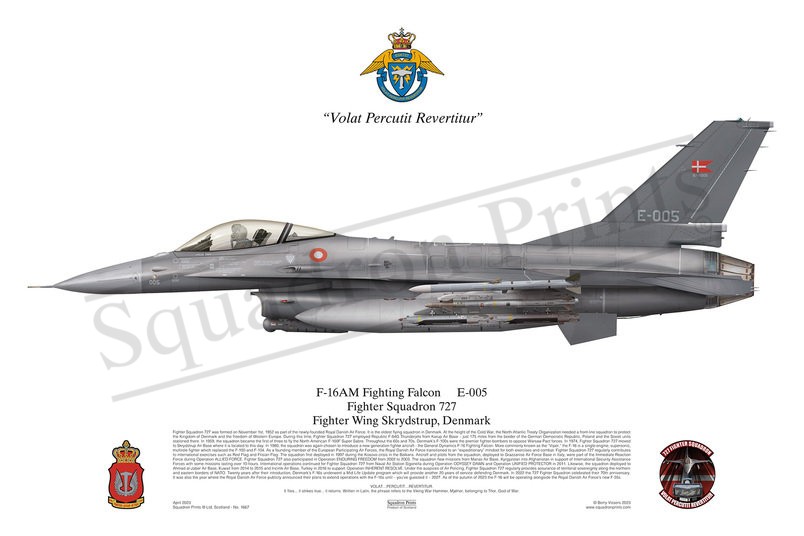 Fighter Squadron 727 F-16AM Fighting Falcon print