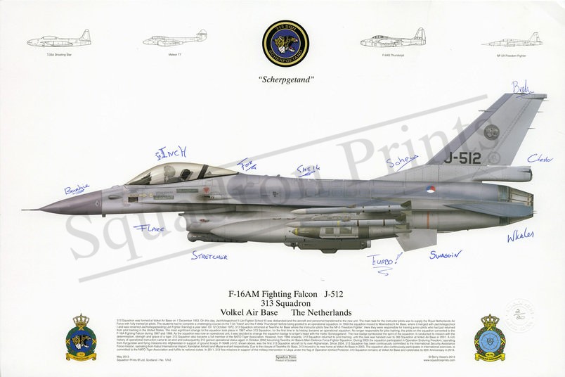 F-16AM Fighting Falcon 313 Sqn