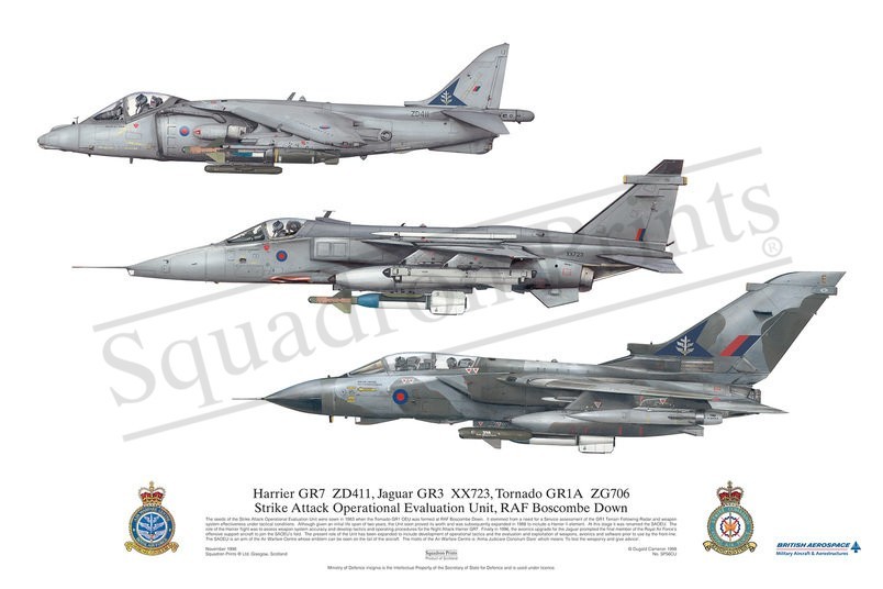 SAOEU print Harrier, Jaguar, Tornado