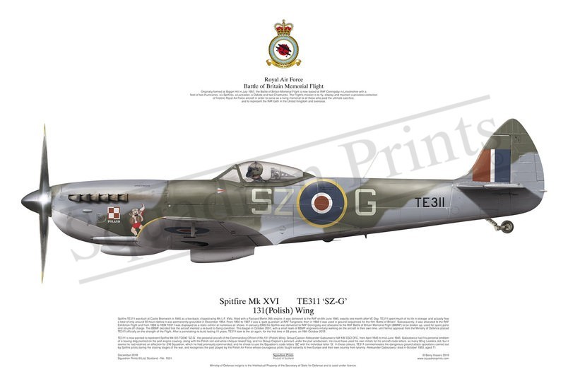 Spitfire XVI TE311