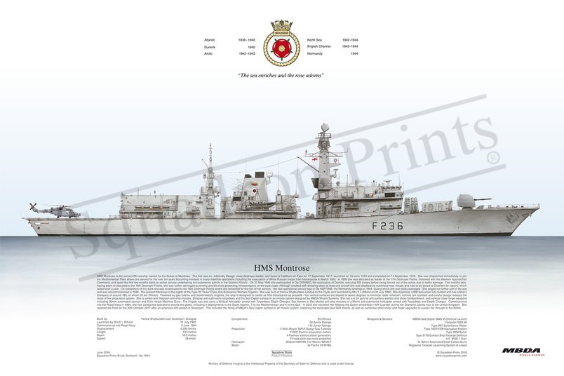 Type 23 Frigate, HMS Montrose F236  print