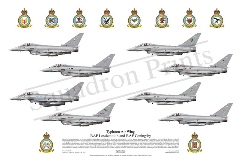 Typhoon Air Wing print