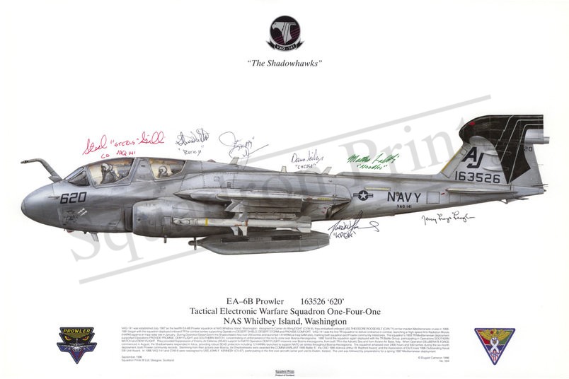 VAQ-141 EA-6B Prowler Signed Print