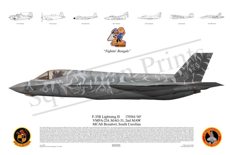 VMFA-224, F-35B Lighting II print
